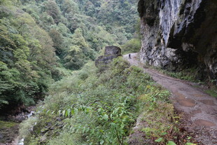 山间蜿蜒小径 绿意盎然