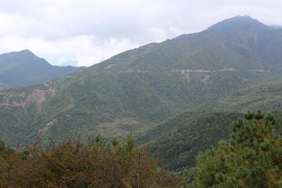 青山葱郁的山间美景