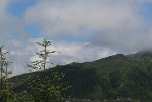 青山绿树间的蓝天白云