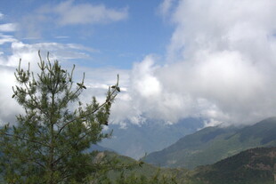 山间绿树与蓝天白云美景