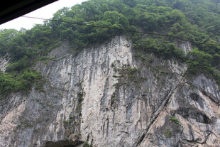 陡峭山壁上的葱郁植被