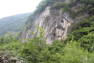 山间峭壁旁的葱郁植被