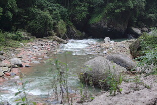 山间溪流 自然野趣景观