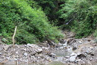 山间碎石溪流 绿意环绕