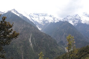 壮丽雪山山林景观