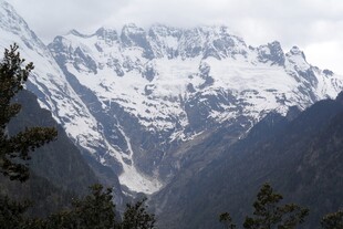 壮丽雪山与葱郁林木景观
