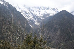 雪山下的山峦与稀疏树木
