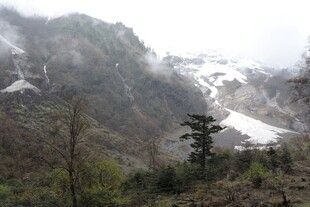 山间雪景与林木景观