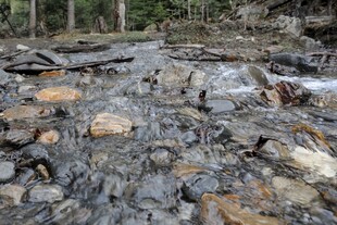 山间潺潺溪流与乱石