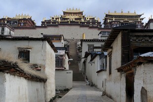 西藏古巷 感受独特藏式风情