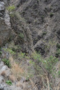 山间岩石与零星植被
