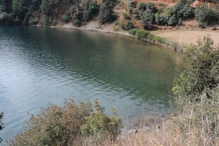 宁静湖畔的自然景致