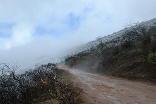 山间云雾缭绕的泥泞小路