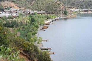 湖畔风光 绿树环绕的宁静水域