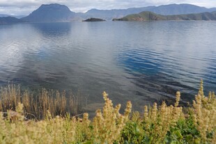 湖畔美景 水草与远山相映