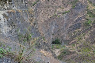 陡峭山崖上的稀疏植被