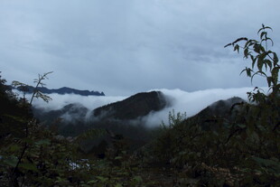 山间云雾缭绕的壮美景色