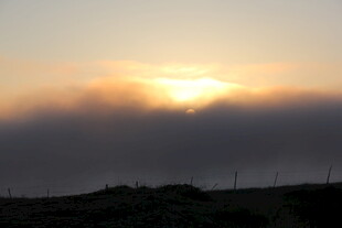 日出时分的云海美景