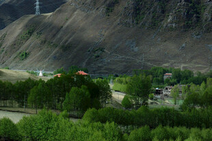 山间绿意盎然的村落景观