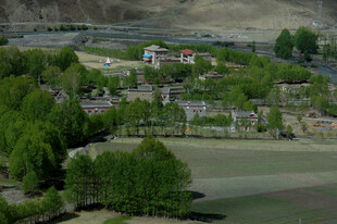 乡村绿意盎然的美丽景致