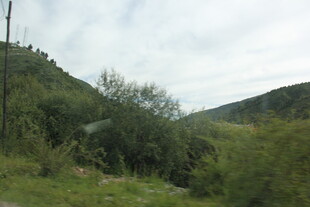 山间绿意盎然的自然景致