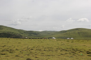 草原风光 远处山峦与房屋