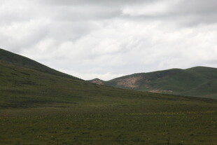 草原山峦间的阴天景致