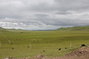 草原风光 广袤天地景色美