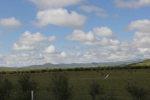 蓝天白云下的广袤原野