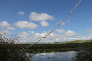 湖畔风光 蓝天白云映绿水
