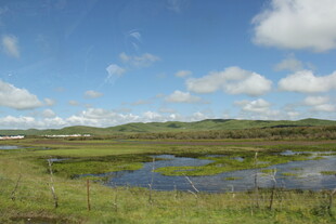 草原湿地风光