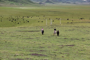 草原上漫步的几个人