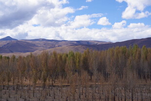 秋日山林与远山风景