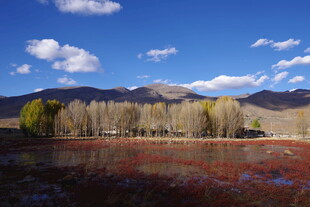 秋日旷野山林美景