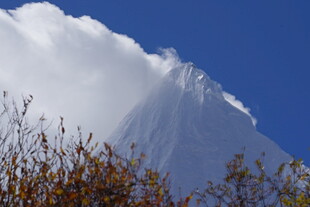 雪山之巅与秋日植被