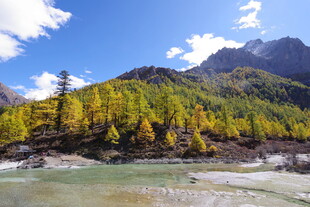 秋日山间河流美景