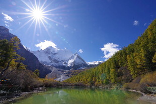 雪山下的碧绿河谷美景