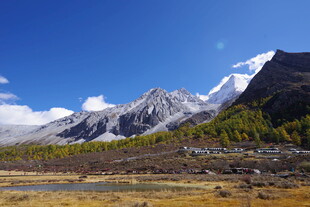 雪山下的多彩山林景观