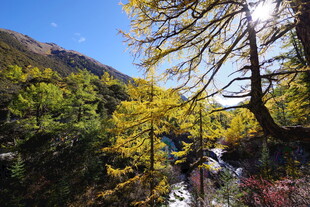 秋日山林溪流美景