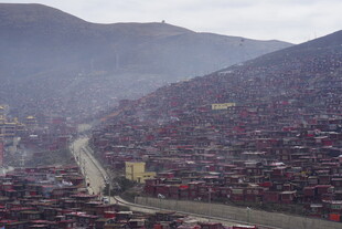 山间错落有致的红顶村落