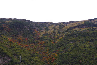 秋日山间斑斓景色