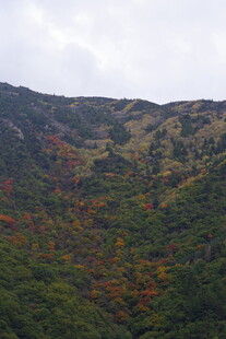 山峦间斑斓秋色美景