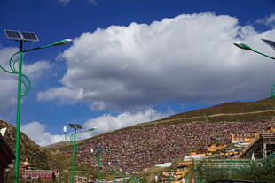 山坡上的热闹集会场景