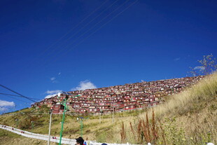 山坡上多彩植被与蓝天