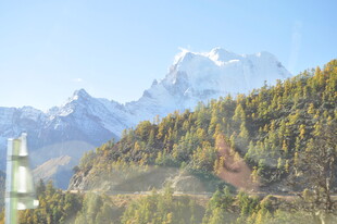雪山下的葱郁山林