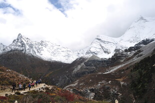 雪山下的山谷风光
