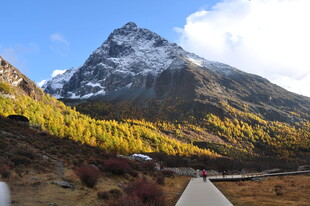 雪山下的壮美山间景色