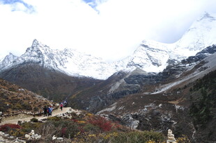 雪山下的美丽山谷风光
