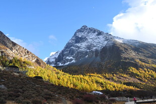 雪山下的秋日山林美景