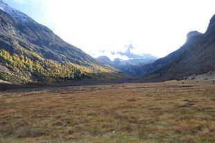 山谷草地风光美景